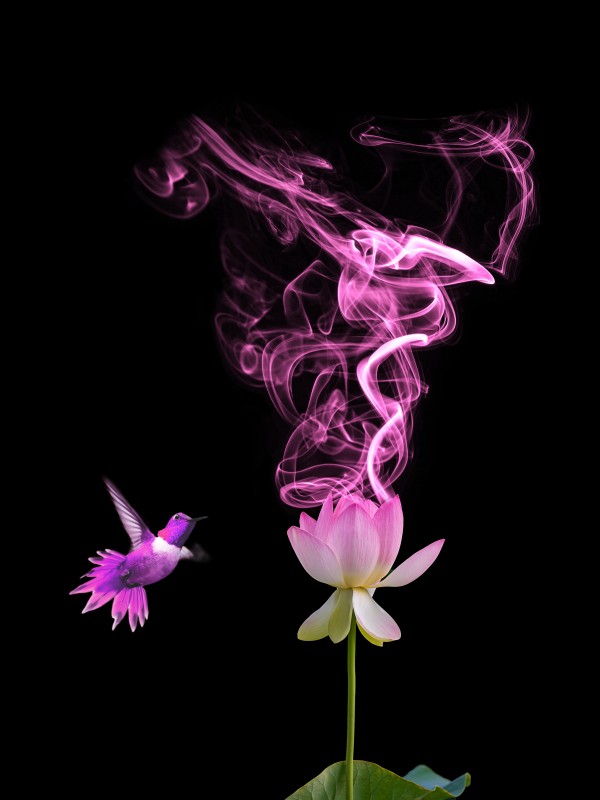 Stop and smell the colors - 3 of 8 by Rafael Ramirez